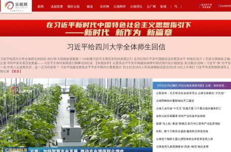 云视网(云南)