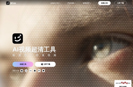 WinkStudio